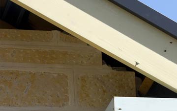soffit repair Gardham